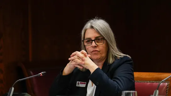 Francisca Muñoz, extrabajadora de la cooperativa Noran y esposa del exdiputado socialista Santos Cerdán Francisca Muñoz, extrabajadora de la cooperativa Noran y esposa del exdiputado socialista Santos Cerdán