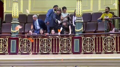 Surrealista momento en el Congreso: dos activistas del Sindicatos de Inquilinas desalojas tras interrumpir y tirar panfletos