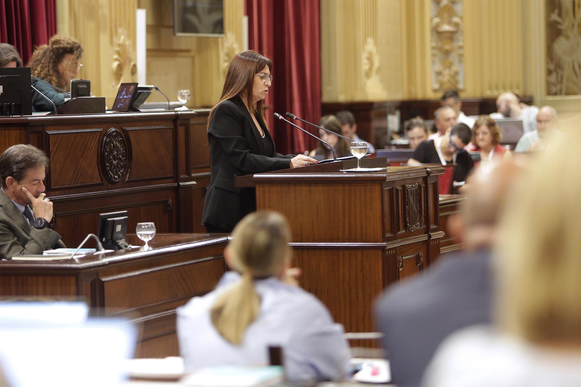 El Parlament convalida el decreto anticrisis al que Vox vota en contra El Parlament convalida el decreto anticrisis al que Vox vota en contra