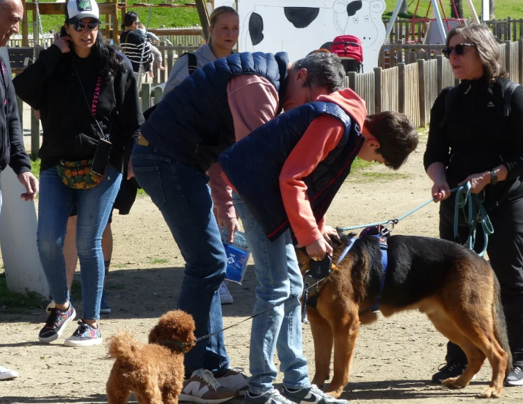 Sitges acull una jornada d’adopció per donar una nova oportunitat als gossos del CAAD Penedès Sitges acull una jornada d’adopció per donar una nova oportunitat als gossos del CAAD Penedès