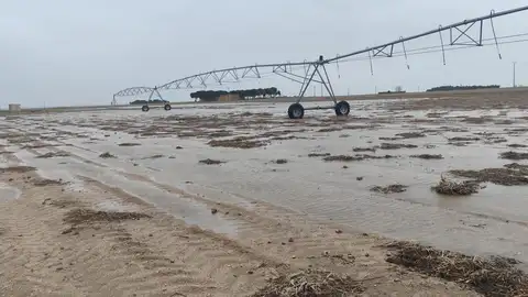 Agricultura publica una primera relación de 876 beneficiarios de las ayudas para daños por borrascas Agricultura publica una primera relación de 876 beneficiarios de las ayudas para daños por borrascas