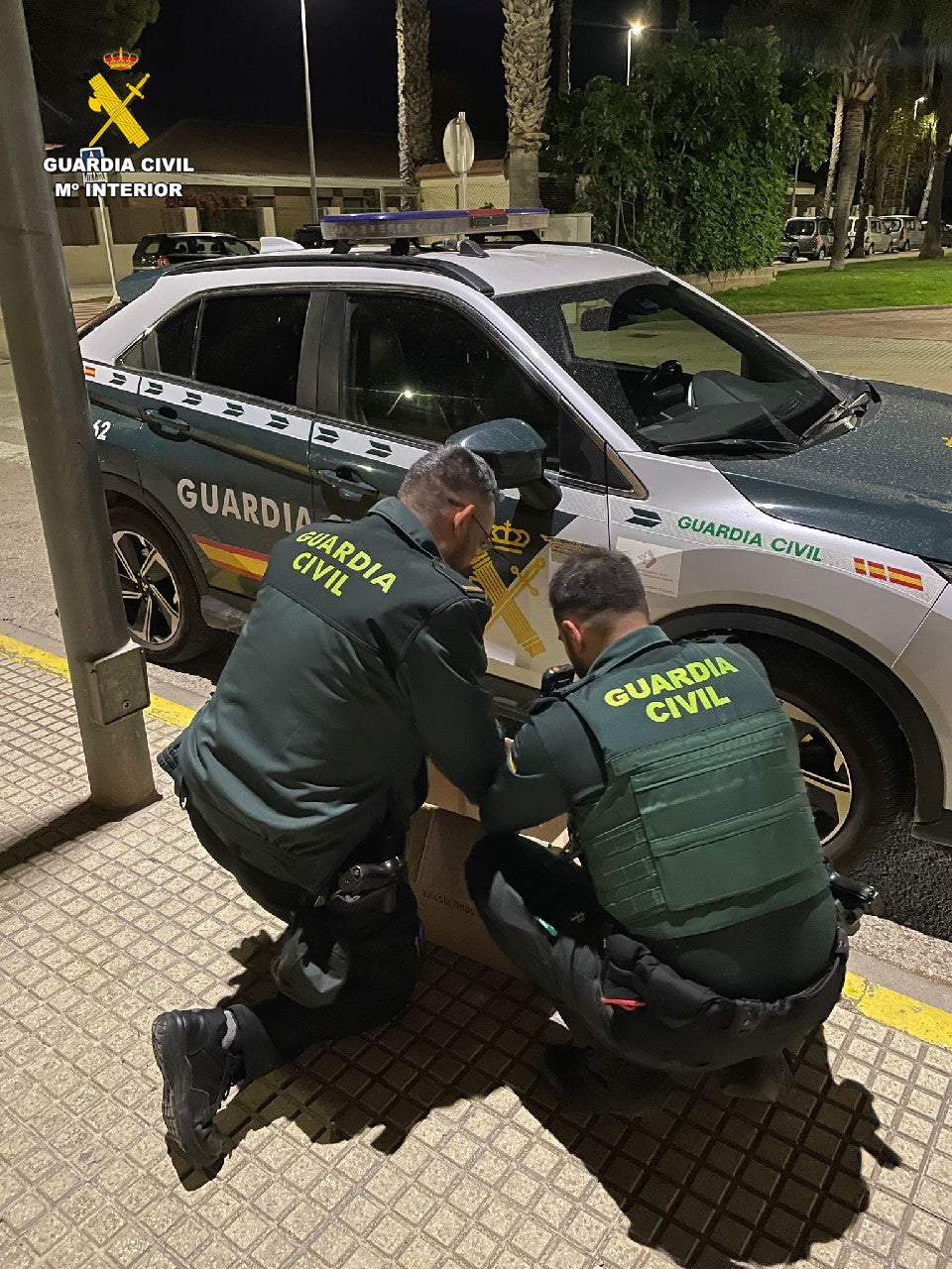 Denunciado el dueño de cuatro gallos cuando volvía de una pelea clandestina en Carlet Denunciado el dueño de cuatro gallos cuando volvía de una pelea clandestina en Carlet