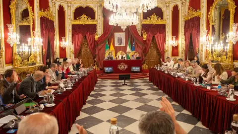 Pleno de la Diputación de Cádiz en sesión Pleno de la Diputación de Cádiz en sesión