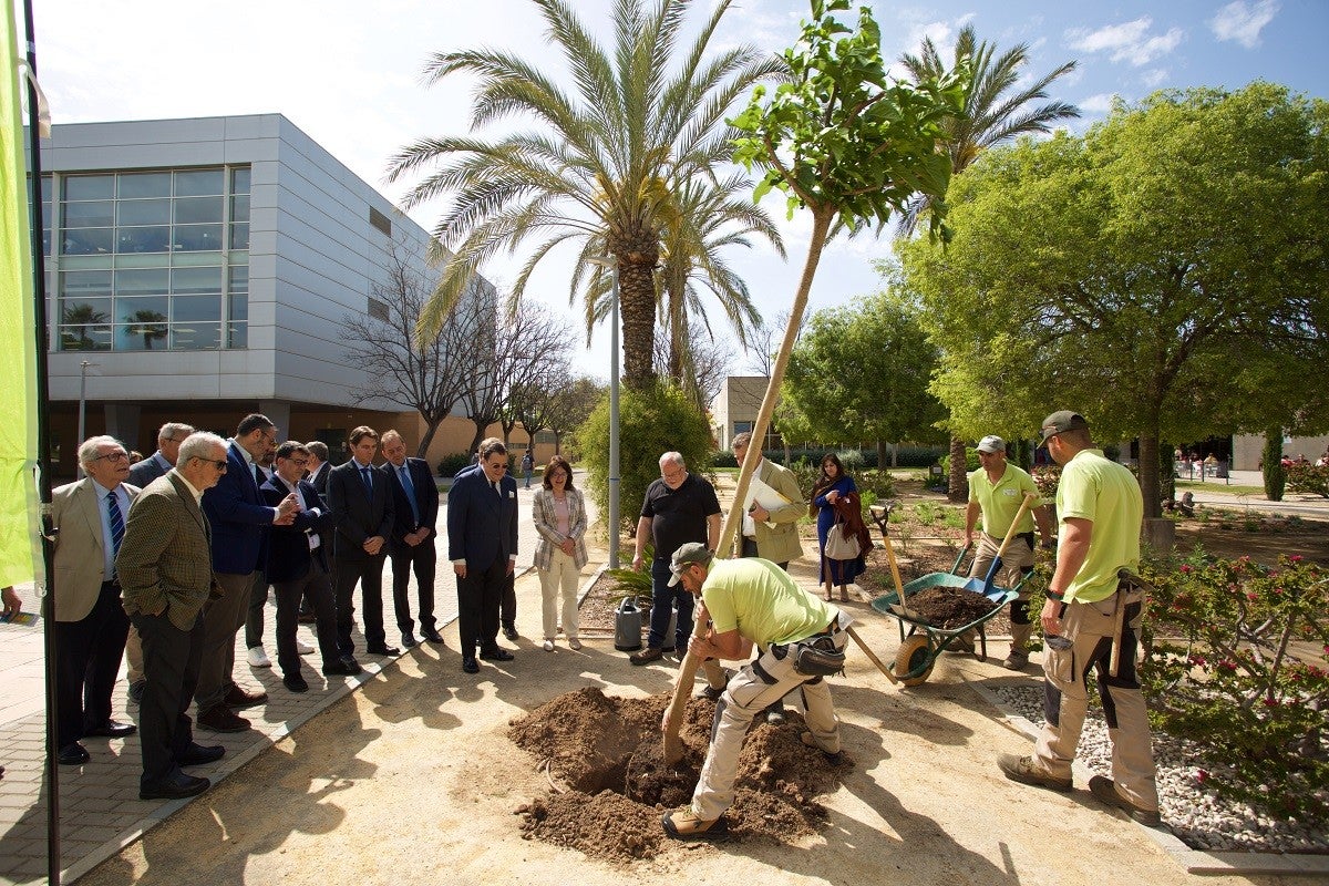 La Universidad de Alicante impulsa la concienciación y la investigación ambiental La Universidad de Alicante impulsa la concienciación y la investigación ambiental