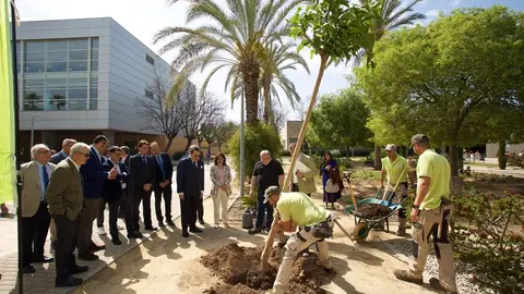 La Universidad de Alicante desarrolla una plantación con motivo del Día de la Tierra La Universidad de Alicante desarrolla una plantación con motivo del Día de la Tierra