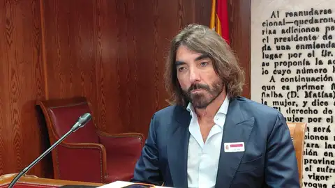 Javier Hidalgo ex CEO de Air Europa, ante la Comisión SEPI del Senado Javier Hidalgo ex CEO de Air Europa, ante la Comisión SEPI del Senado