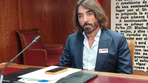 Javier Hidalgo ex CEO de Air Europa, ante la Comisión SEPI del Senado Javier Hidalgo ex CEO de Air Europa, ante la Comisión SEPI del Senado