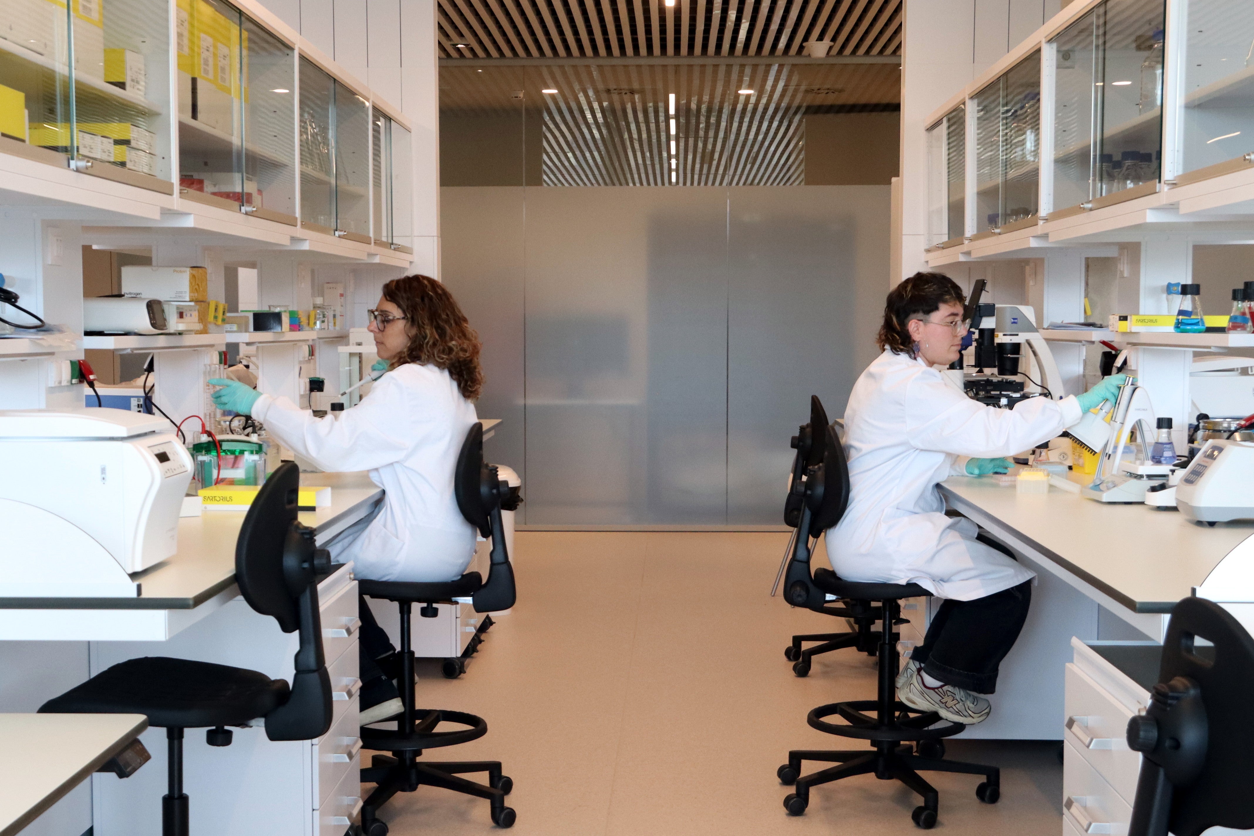 Barcelona inaugura el Caixabank Research Institute: el primer centre d’immunologia de l’Estat Barcelona inaugura el Caixabank Research Institute: el primer centre d’immunologia de l’Estat