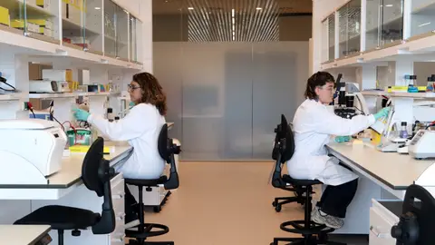 Barcelona inaugura el Caixabank Research Institute: el primer centre d’immunologia de l’Estat Barcelona inaugura el Caixabank Research Institute: el primer centre d’immunologia de l’Estat