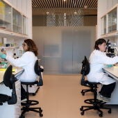 Barcelona inaugura el Caixabank Research Institute: el primer centre d’immunologia de l’Estat