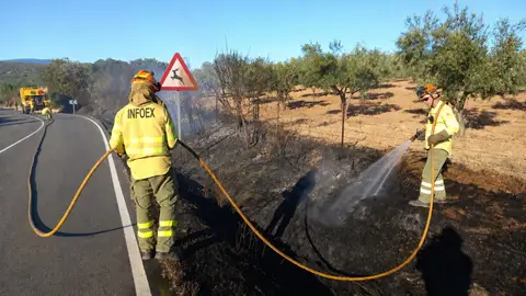 Casi 2.200 aspirantes se examinan el fin de semana para 195 plazas de bombero forestal y 29 de agente del Medio Natural Casi 2.200 aspirantes se examinan el fin de semana para 195 plazas de bombero forestal y 29 de agente del Medio Natural