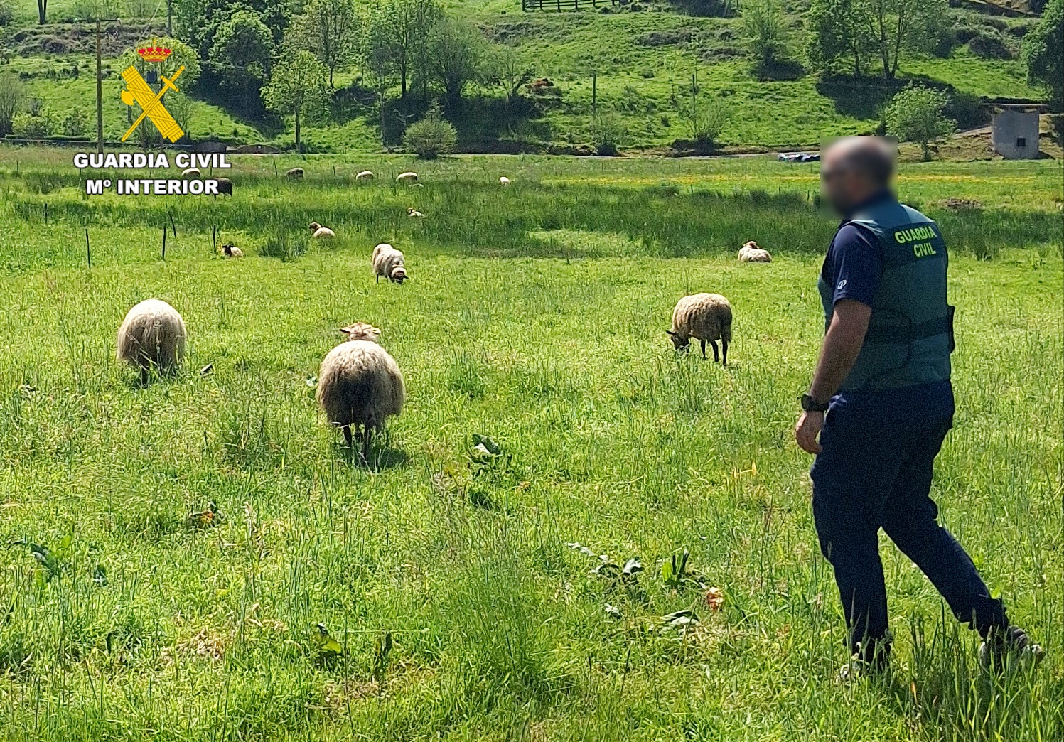 Fotografía de efectivo del SEPRONA durante una inspección Fotografía de efectivo del SEPRONA durante una inspección