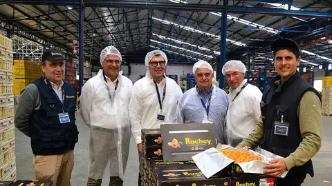 El níspero de Callosa refuerza su proyección internacional con una campaña que apunta a los 10 millones de kilos El níspero de Callosa refuerza su proyección internacional con una campaña que apunta a los 10 millones de kilos