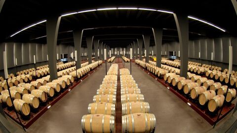 Bodega Irius