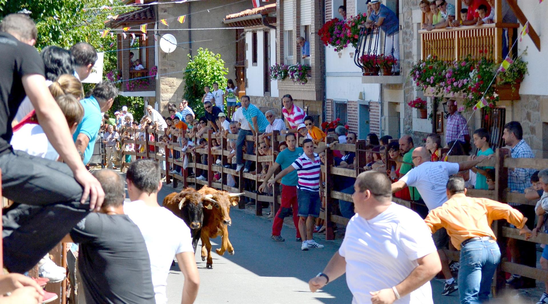 Cantabria convoca ayudas para espectáculos taurinos en los 41 municipios en riesgo de despoblamiento Cantabria convoca ayudas para espectáculos taurinos en los 41 municipios en riesgo de despoblamiento