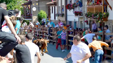 Foto de archivo de un encierro en Bárcena de Pie de Concha Foto de archivo de un encierro en Bárcena de Pie de Concha en Cantabria