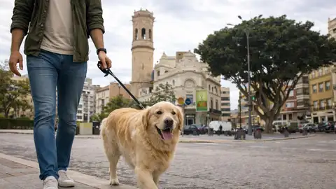 El Ayuntamiento de Burriana implanta un censo canino con ADN para mejorar la limpieza y la protección animal El Ayuntamiento de Burriana implanta un censo canino con ADN para mejorar la limpieza y la protección animal