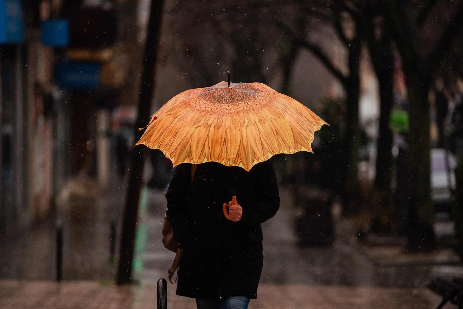 Una persona se protege de la lluvia con paraguas. Una persona se protege de la lluvia con paraguas.