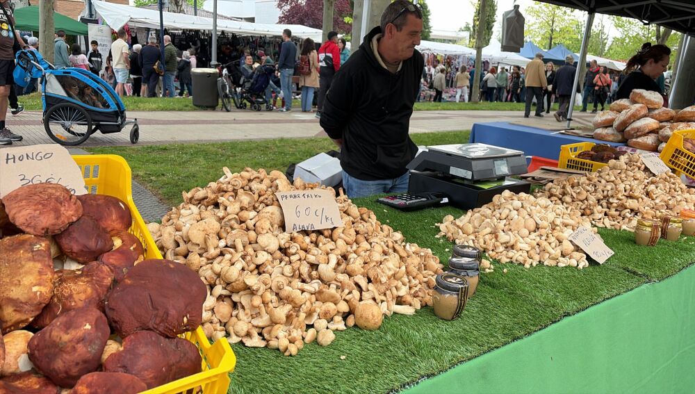 Perretxikos Armentia San Prudencio