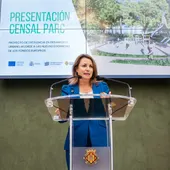 Castellón da luz verde al mayor parque de la ciudad con una primera fase de más de 38.000 metros cuadrados Castellón da luz verde al mayor parque de la ciudad con una primera fase de más de 38.000 metros cuadrados