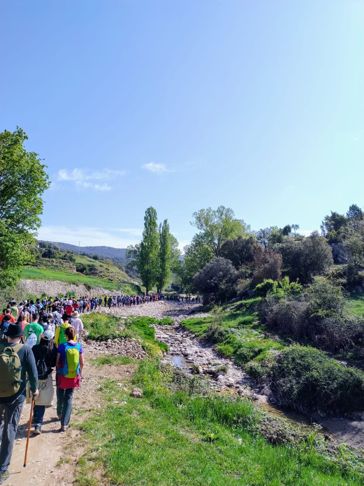 El PSPV-PSOE impulsa en el Congreso la protección de las rogativas de Castelló como patrimonio mundial El PSPV-PSOE impulsa en el Congreso la protección de las rogativas de Castelló como patrimonio mundial