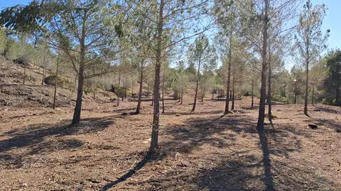 Altea invierte más de 100.000 euros en prevenir incendios Altea invierte más de 100.000 euros en prevenir incendios