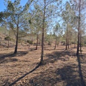Altea invierte más de 100.000 euros en prevenir incendios