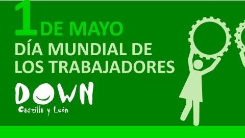 DOWN CYL 1 MAYO