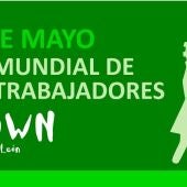 DOWN CYL 1 MAYO