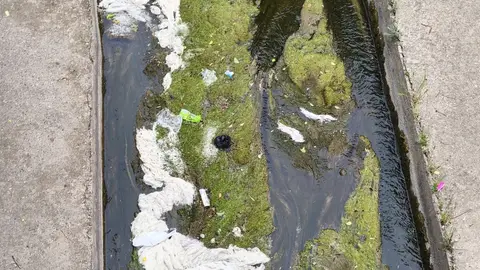 Denuncian el deterioro ambiental del Isuela a su paso por Huesca Denuncian el deterioro ambiental del Isuela a su paso por Huesca