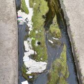 Denuncian el deterioro ambiental del Isuela a su paso por Huesca