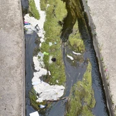 Denuncian el deterioro ambiental del Isuela a su paso por Huesca Denuncian el deterioro ambiental del Isuela a su paso por Huesca