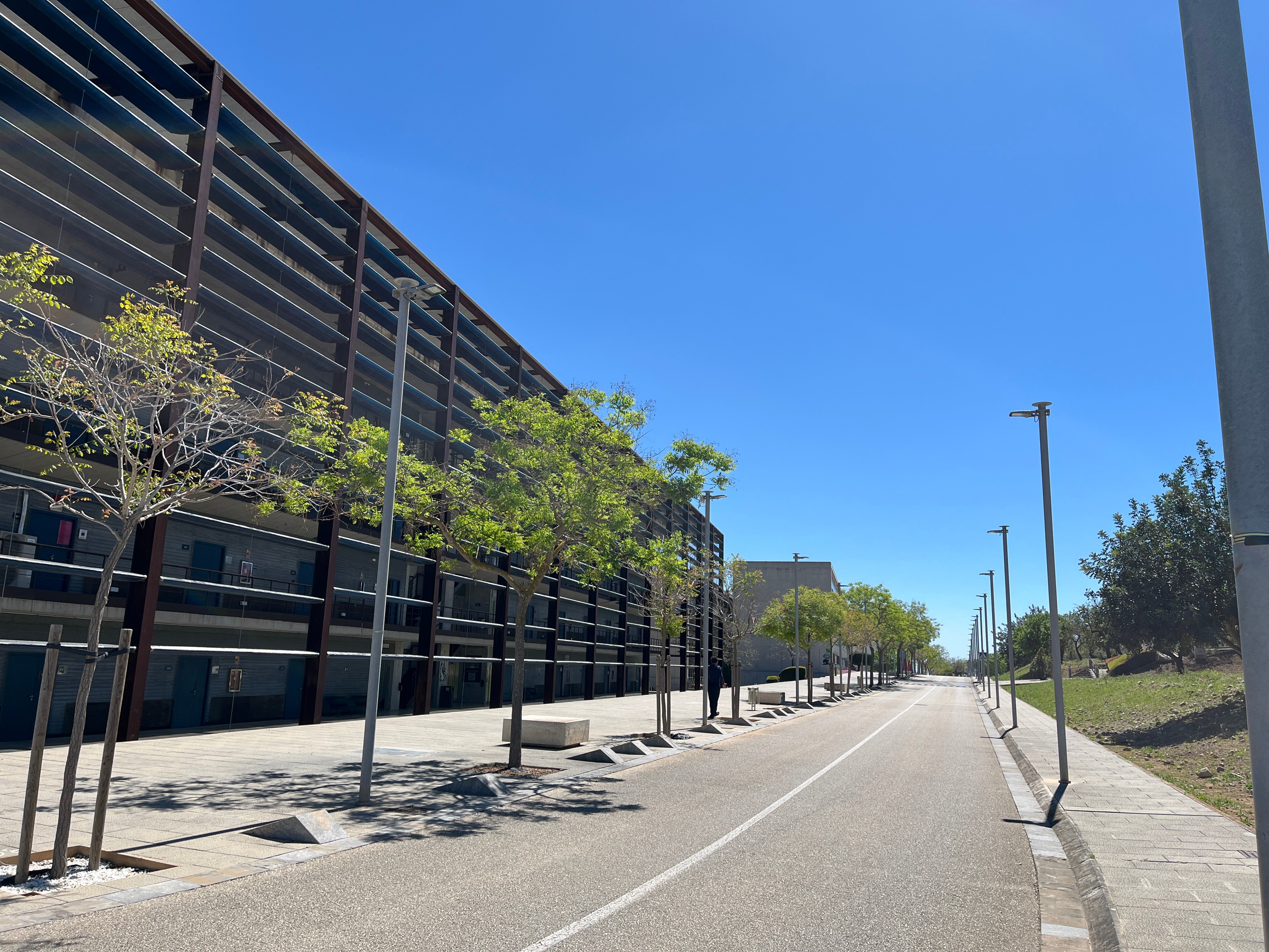 El Govern planea la construcción de 200 viviendas públicas de alquiler en el Parc Bit El Govern planea la construcción de 200 viviendas públicas de alquiler en el Parc Bit
