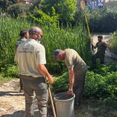La Conselleria intensifica el control de la fauna y la calidad del agua en el río Amadorio de Villajoyosa