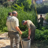 La Conselleria intensifica el control de la fauna y la calidad del agua en el río Amadorio de Villajoyosa La Conselleria intensifica el control de la fauna y la calidad del agua en el río Amadorio de Villajoyosa