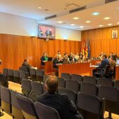Aplauso tras la aprobación unánime en pleno de la declaración este 2026 como 'Año del Rey Teodomiro'