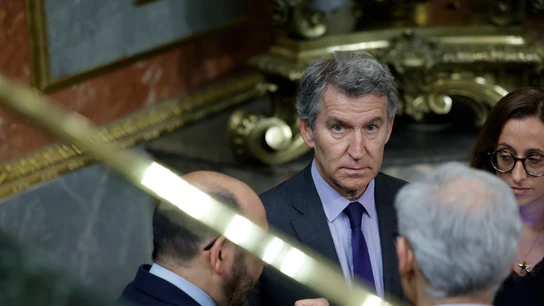El líder del PP, Alberto Núñez Feijóo, en una imagen de archivo en el Congreso El líder del PP, Alberto Núñez Feijóo, en una imagen de archivo en el Congreso