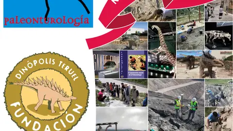 Cartel anunciador del Premio ‘Paleonturología 2026" Cartel anunciador del Premio ‘Paleonturología 2026"