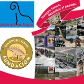 Cartel anunciador del Premio ‘Paleonturología 2026" Cartel anunciador del Premio ‘Paleonturología 2026"