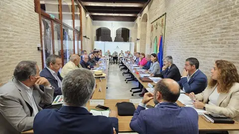 Las 63 filiales del Rocío que usarán los 'Caminos de Sevilla' tienen "todo listo" para la romería Las 63 filiales del Rocío que usarán los 'Caminos de Sevilla' tienen "todo listo" para la romería