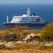 El crucero afectado por hantavirus prevé atracar en Canarias: hay al menos catorce españoles a bordo El crucero afectado por hantavirus prevé atracar en Canarias: hay al menos catorce españoles a bordo