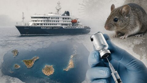 Collage de im&aacute;genes Crucero Hentavirus 