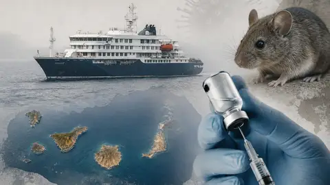 Collage de imágenes Crucero Hentavirus Collage de imágenes Crucero Hentavirus