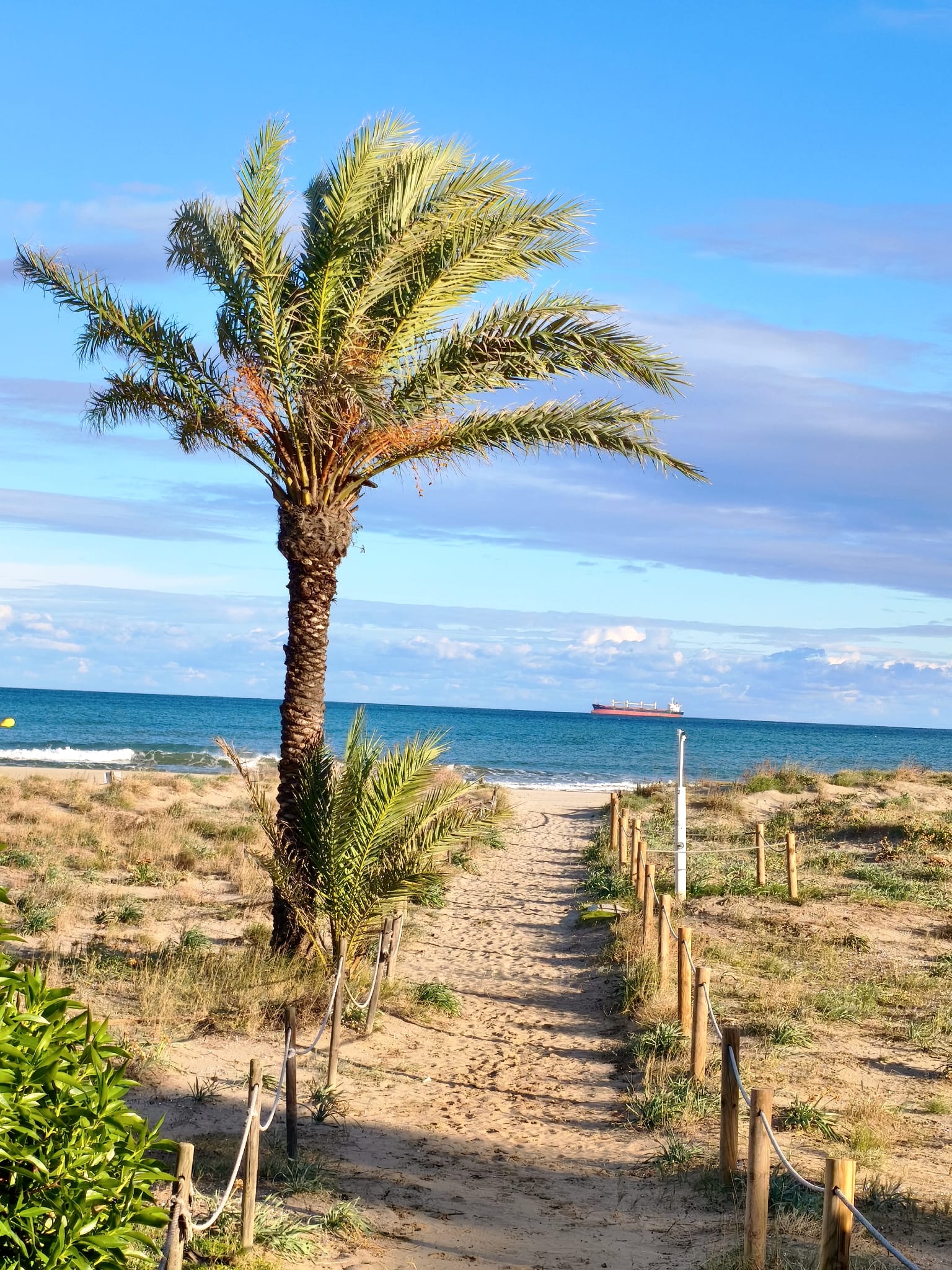 Castelló recupera la Bandera Azul para el Serradal y sus tres playas lucirán el distintivo este verano Castelló recupera la Bandera Azul para el Serradal y sus tres playas lucirán el distintivo este verano
