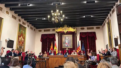 Pleno municipal del Ayuntamiento de Elche. Pleno municipal del Ayuntamiento de Elche.
