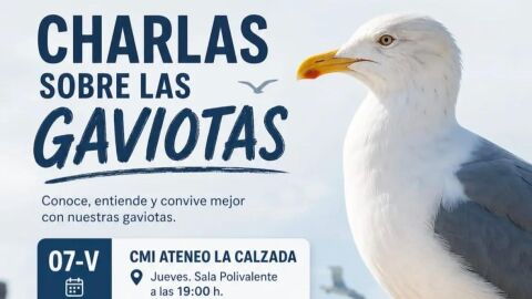 Control de la poblaci&oacute;n de gaviotas en Gij&oacute;n