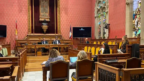 El vicepresidente segundo del Consell de Mallorca, Pedro Bestard, comparece ante la Comisión de Transparencia de la institución insular. El vicepresidente segundo del Consell de Mallorca, Pedro Bestard, comparece ante la Comisión de Transparencia de la institución insular.