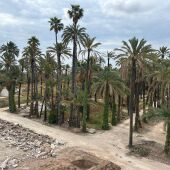 Elche ha puesto en marcha los trabajos de recuperación integral de l’Hort del Gat.