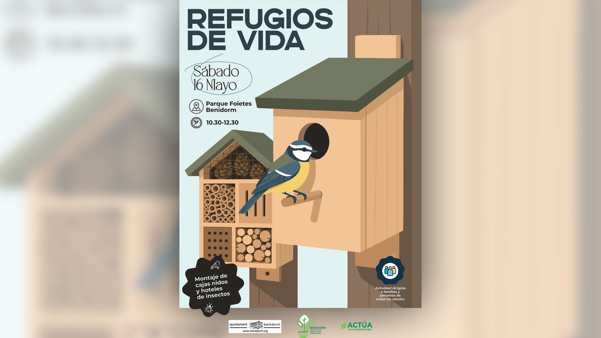 Benidorm retoma la próxima semana las actividades ambientales Benidorm retoma la próxima semana las actividades ambientales