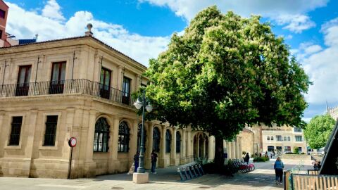 Casta&ntilde;o en la Plaza de San Marcelo de Le&oacute;n